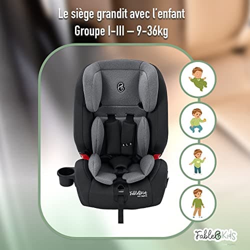 FableKids Siège auto pour enfants Siège auto Isofix Gris