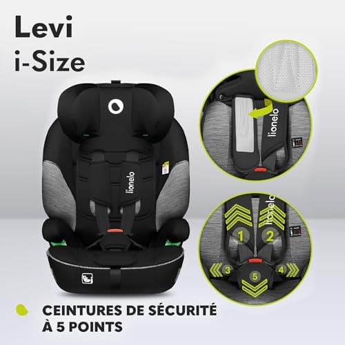 LIONELO Levi One Siege Auto Gris-Noir 3-En-1 Protection Latérale Protection Tête Ceinture 5 Points Appui-Tête Réglable D